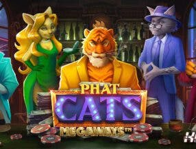 nn bet